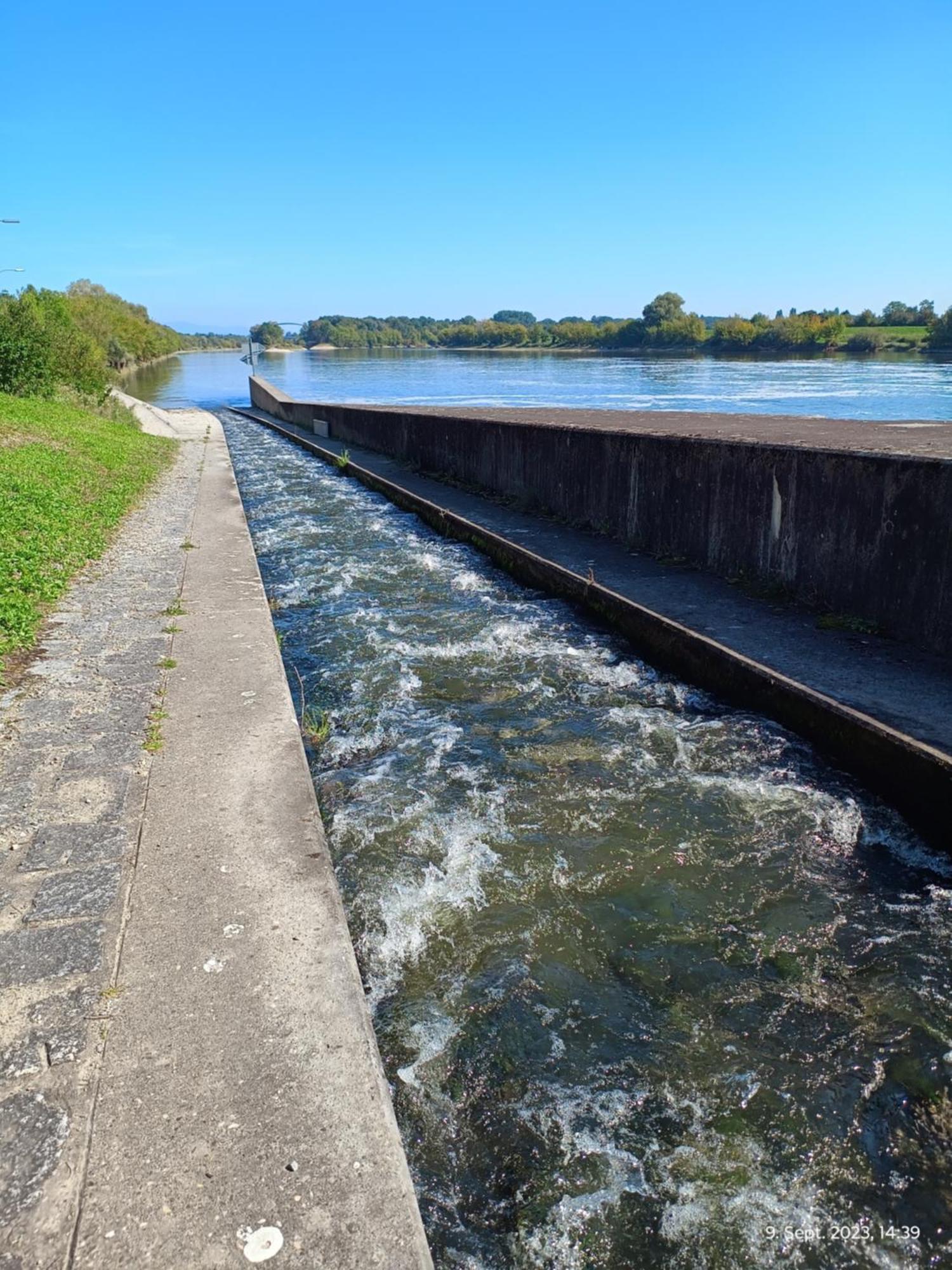 G.A.D.D Ferienwohnung/Glueck An Der Donau Straubing Eksteriør billede